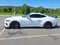 2025 Ford Mustang GT Fastback
